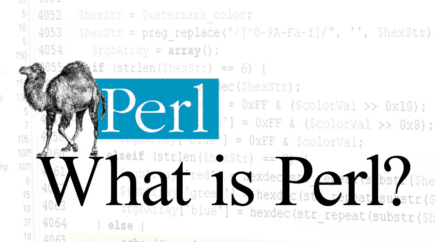 What is Perl