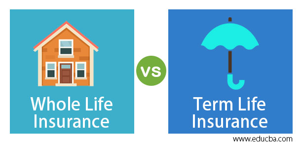 Whole Life Insurance vs Term Life Insurance
