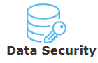 Data security in DBMS