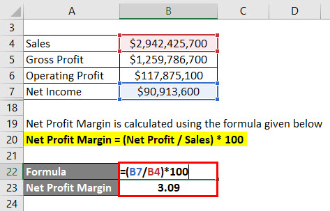 Net Profit Margin Example 2