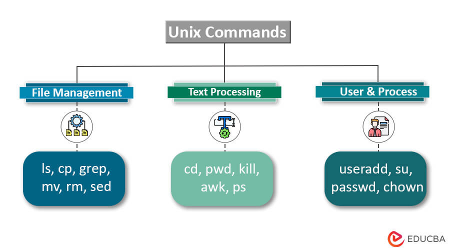 What is Unix Command