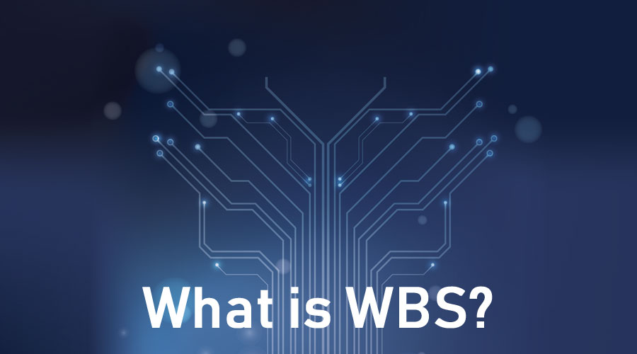 What-is-WBS