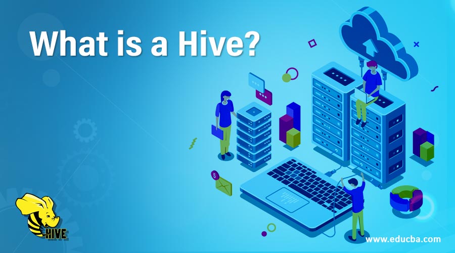 What is a Hive?