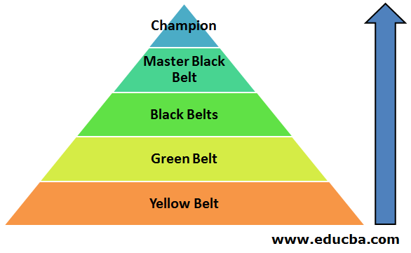 Different Belts in Six Sigma