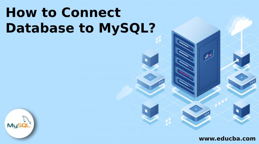 How to Connect Database to MySQL