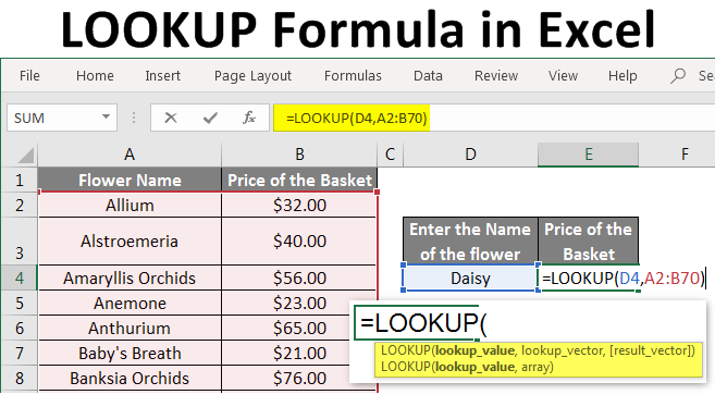 Lookup Formula in Excel