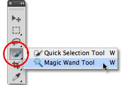 Magic Wand Tool