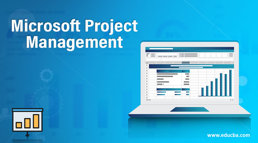 Microsoft Project Management