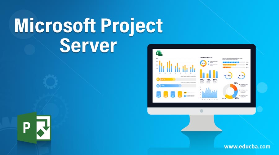 Microsoft Project Server