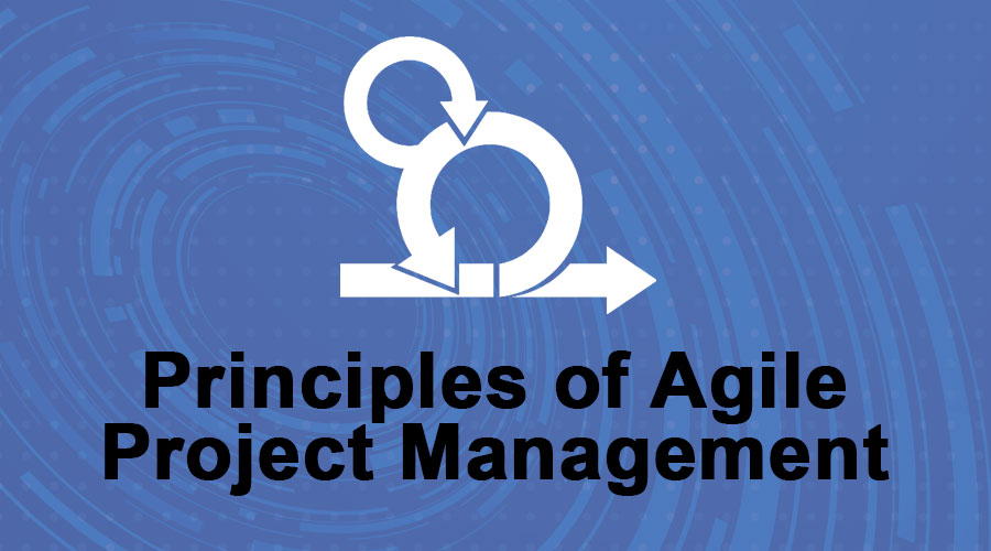 Principles of Agile Project Management