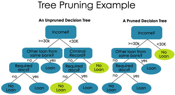 tree pruning Exam