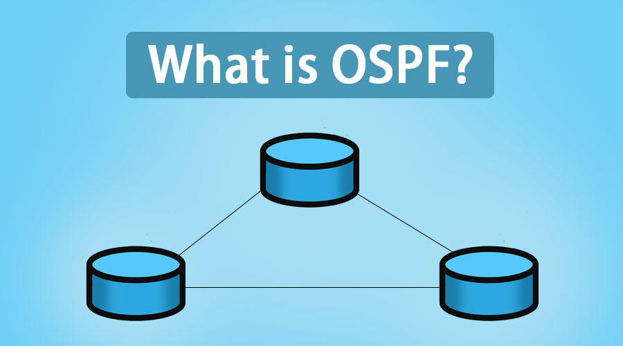 What-is-OSPF