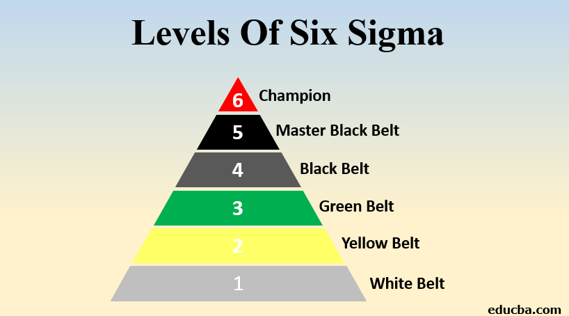 levels of six sigma