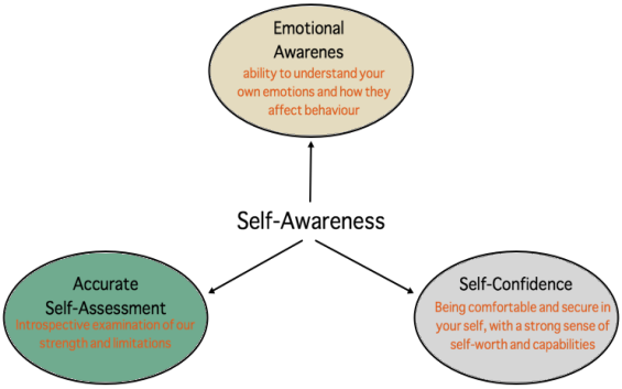 Emotional Intelligence in leadership - Team Members