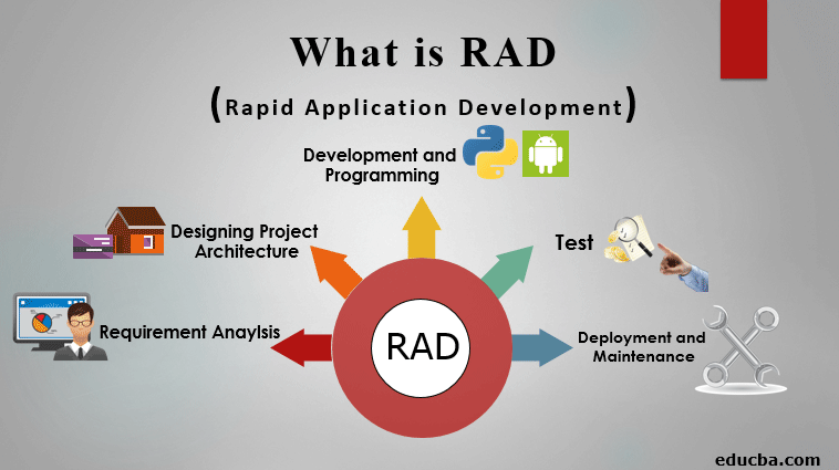 rad project management case study