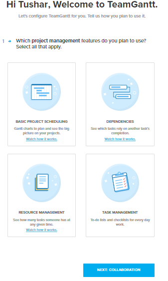 Gantt Chart Software 1