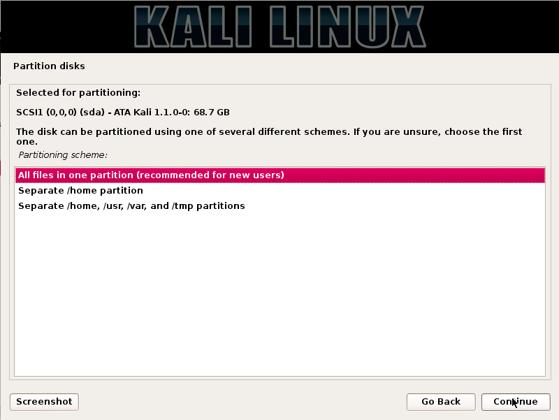 Kali Linux - Partitioning Scheme