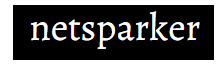 netsparker 