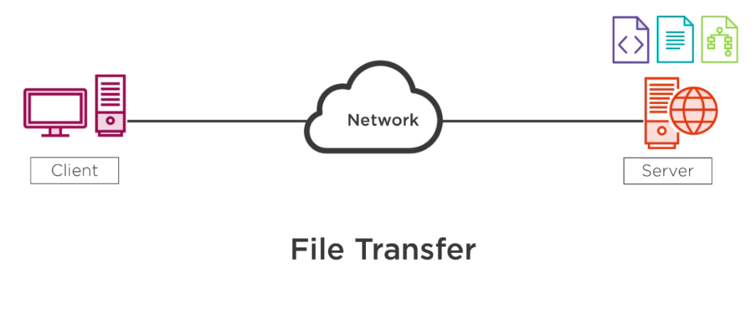 Types of Networking Protocols - FTP