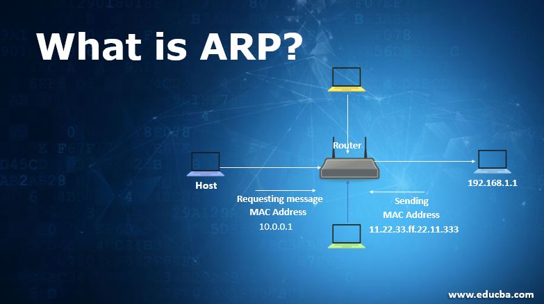 What Are Two Features Of Arp Used To?
