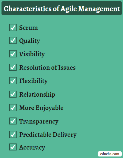 Characteristics of Agile Management