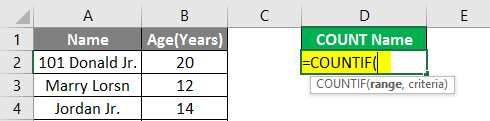 Count Names in Excel example 2.3