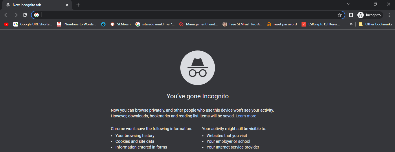 Google.com in an Incognito Window