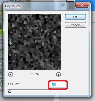 Step 12.1 Crystallize