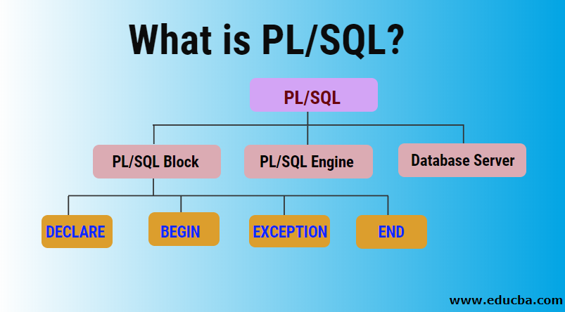 What is PL/SQL?