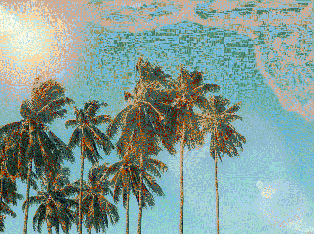 Final Out Put of Eye Dropper