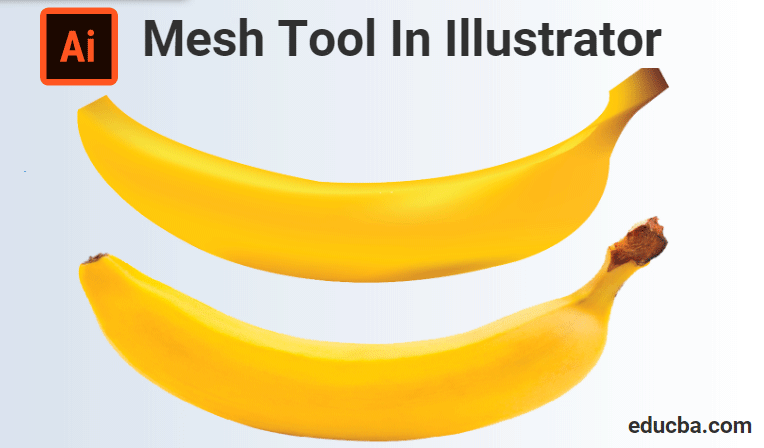 Mash Tool in illustrator
