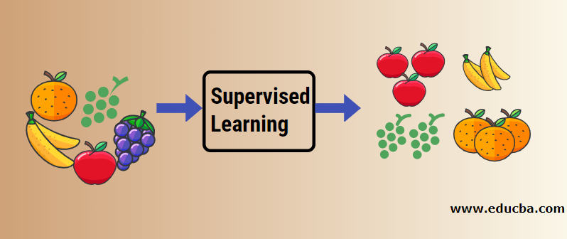 Supervised Learning 1