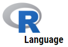 r language