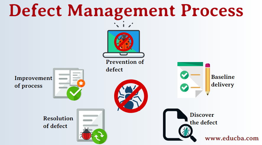 Defect Management Process