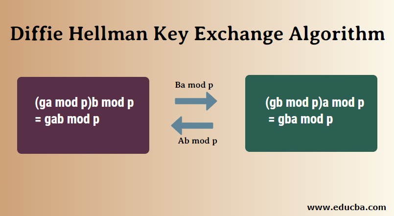 Diffie Hellman Key Exchange Algorithm