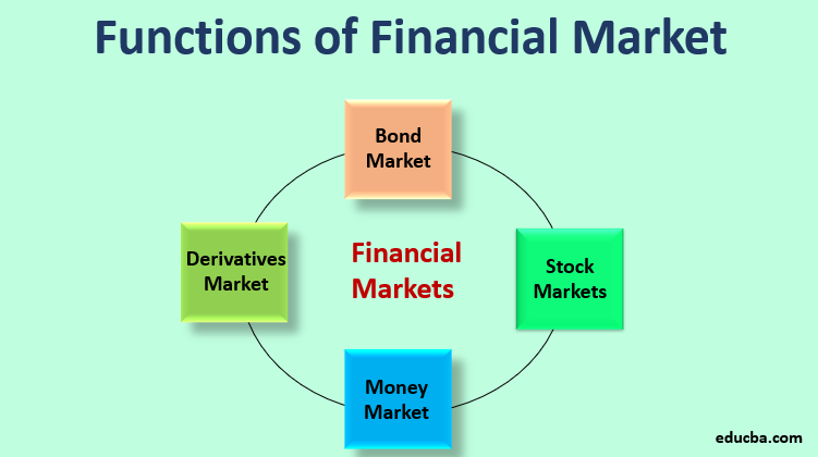 Functions of the Financial Market