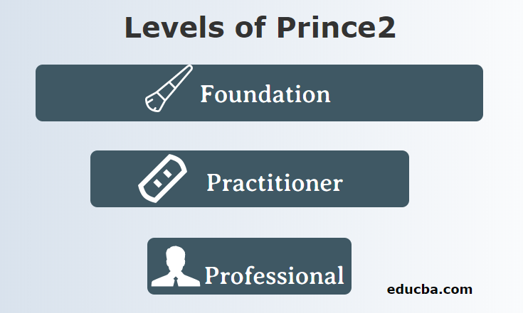 Levels of Prince2