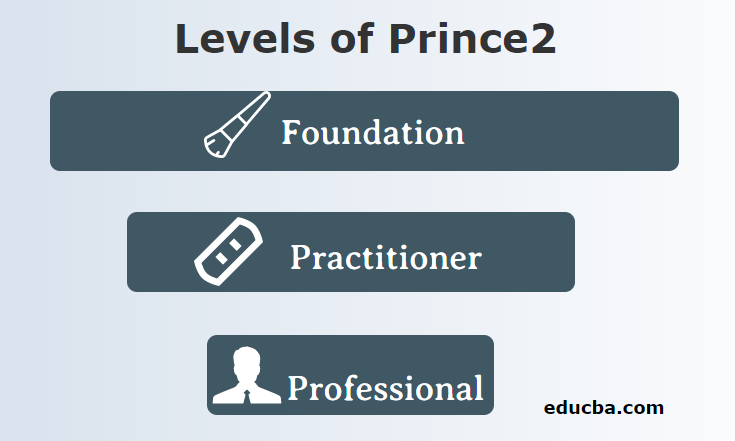 Levels of Prince2