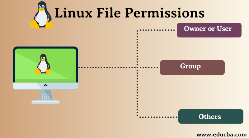 How to Set File Permissions in Linux - wide 4