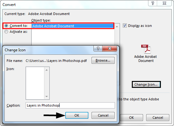 Embedded PDF File