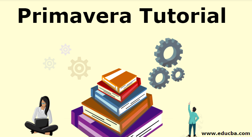 Primavera Tutorial