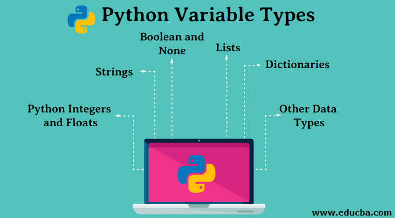 different types of numbers in different languages