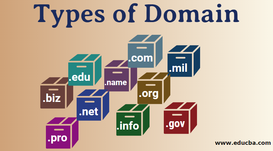 Types of Domain