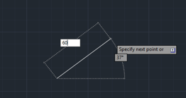 lenght 60mm (lines in AutoCAD)