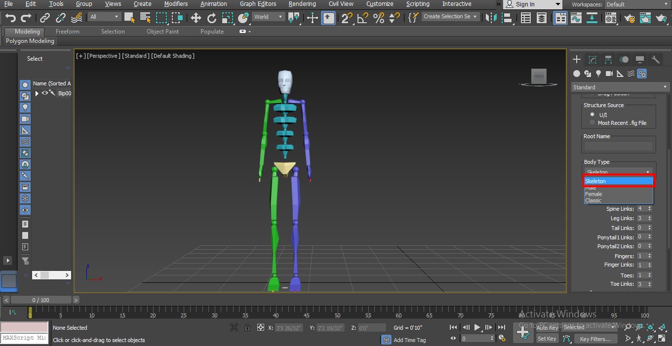 Biped in 3ds Max - skeleton body parts