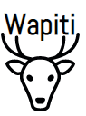 wapiti
