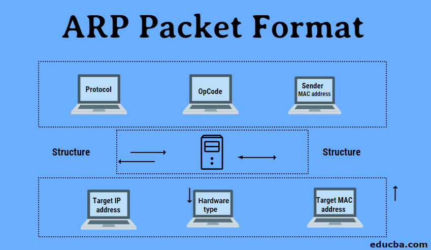 ARP Packet Format