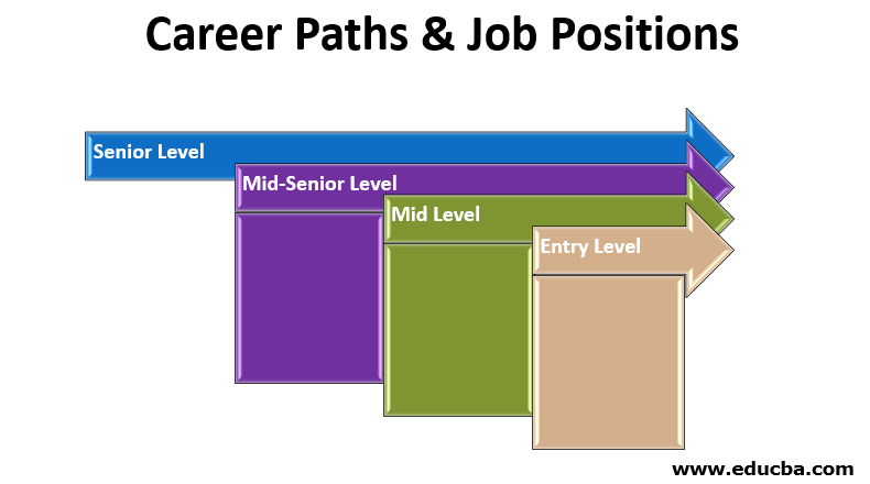 Career Paths & Job Positions