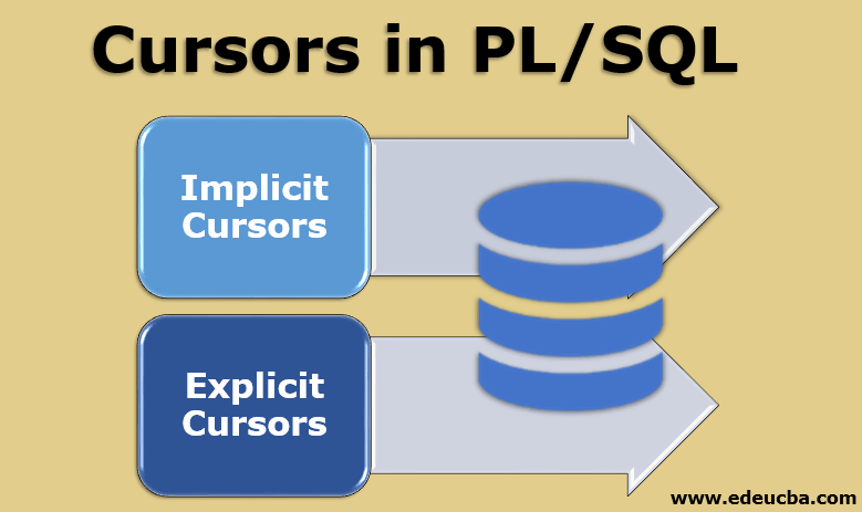 Cursors in PL SQL