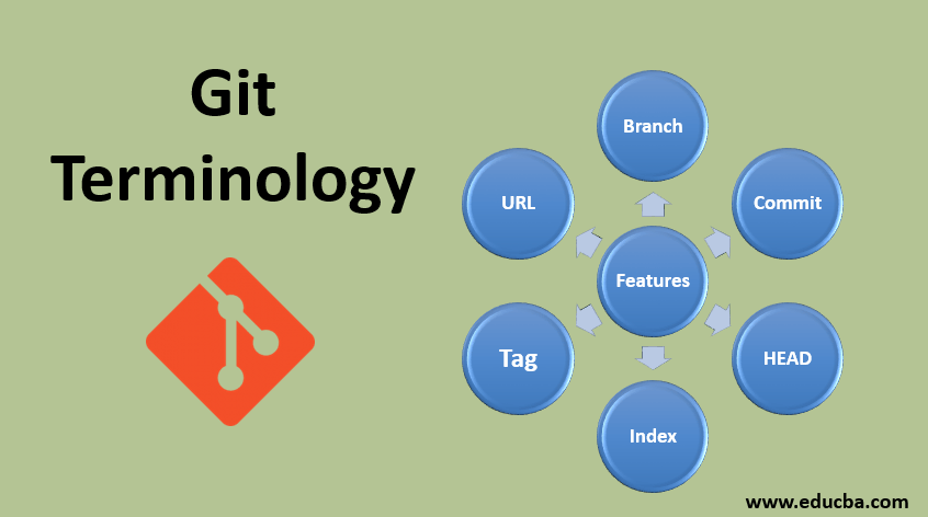 Git Terminology